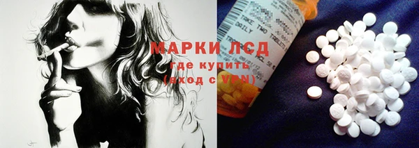 PSILOCYBIN Армянск