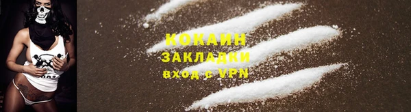 мескалин Арсеньев