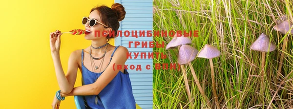 бутират Аркадак