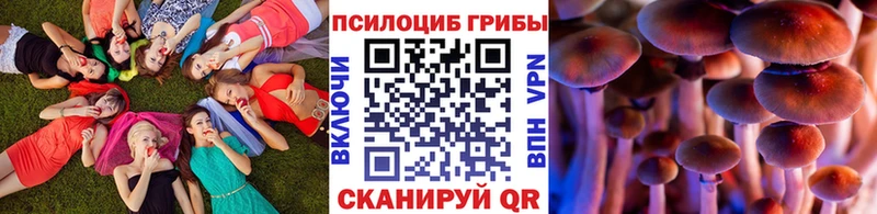 Купить где  Касли  Псилоцибиновые грибы Cubensis 